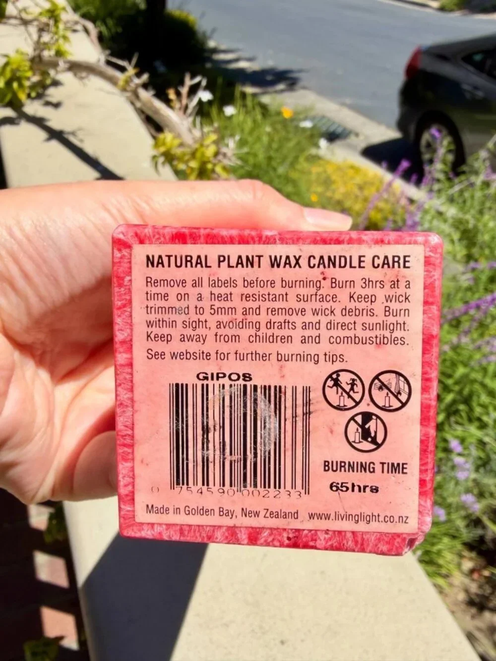 Living Light Pohutukawa Icicle Candle Red New Zealand Plant Beeswax 65 Hr 11.5